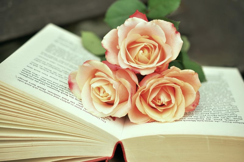 Historical Fiction Book