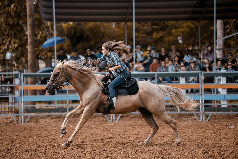 Wild West Cowboy